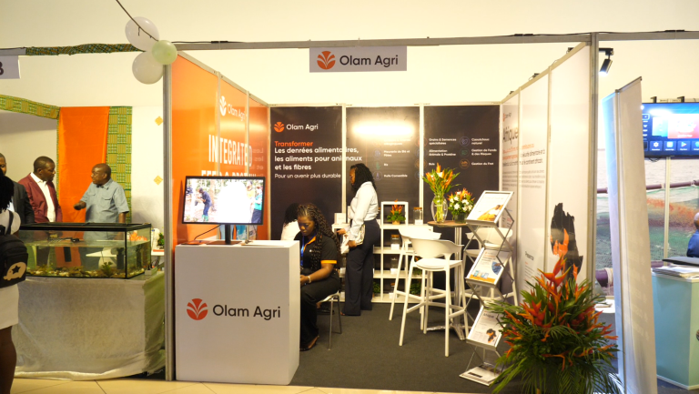 Capture d'écran 2025-06-16 114621