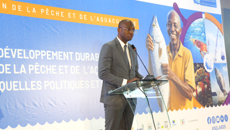 Capture d'écran 2025-06-16 115814