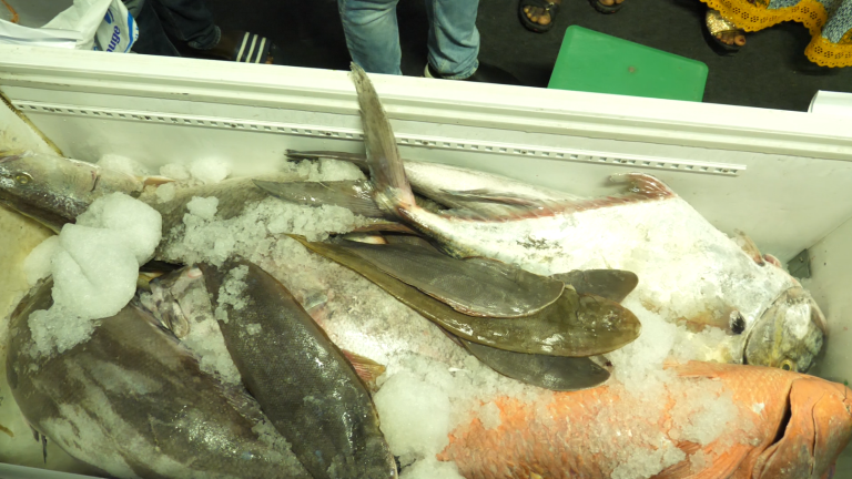 Capture d'écran 2025-06-16 120048