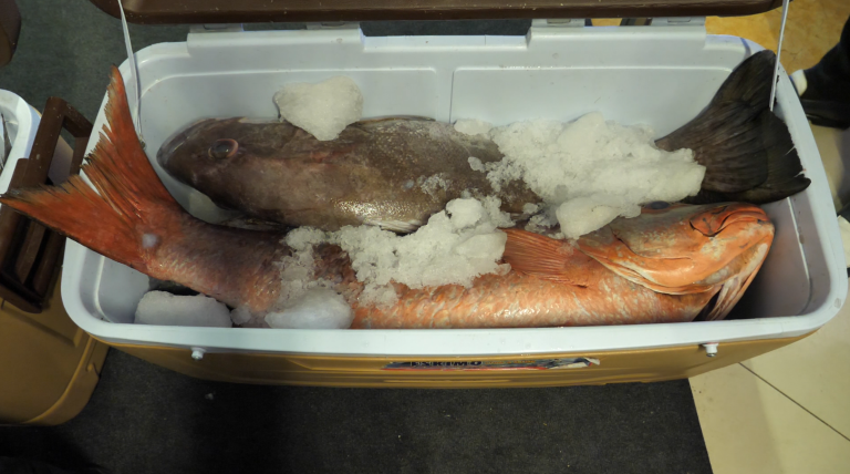 Capture d'écran 2025-06-16 120118