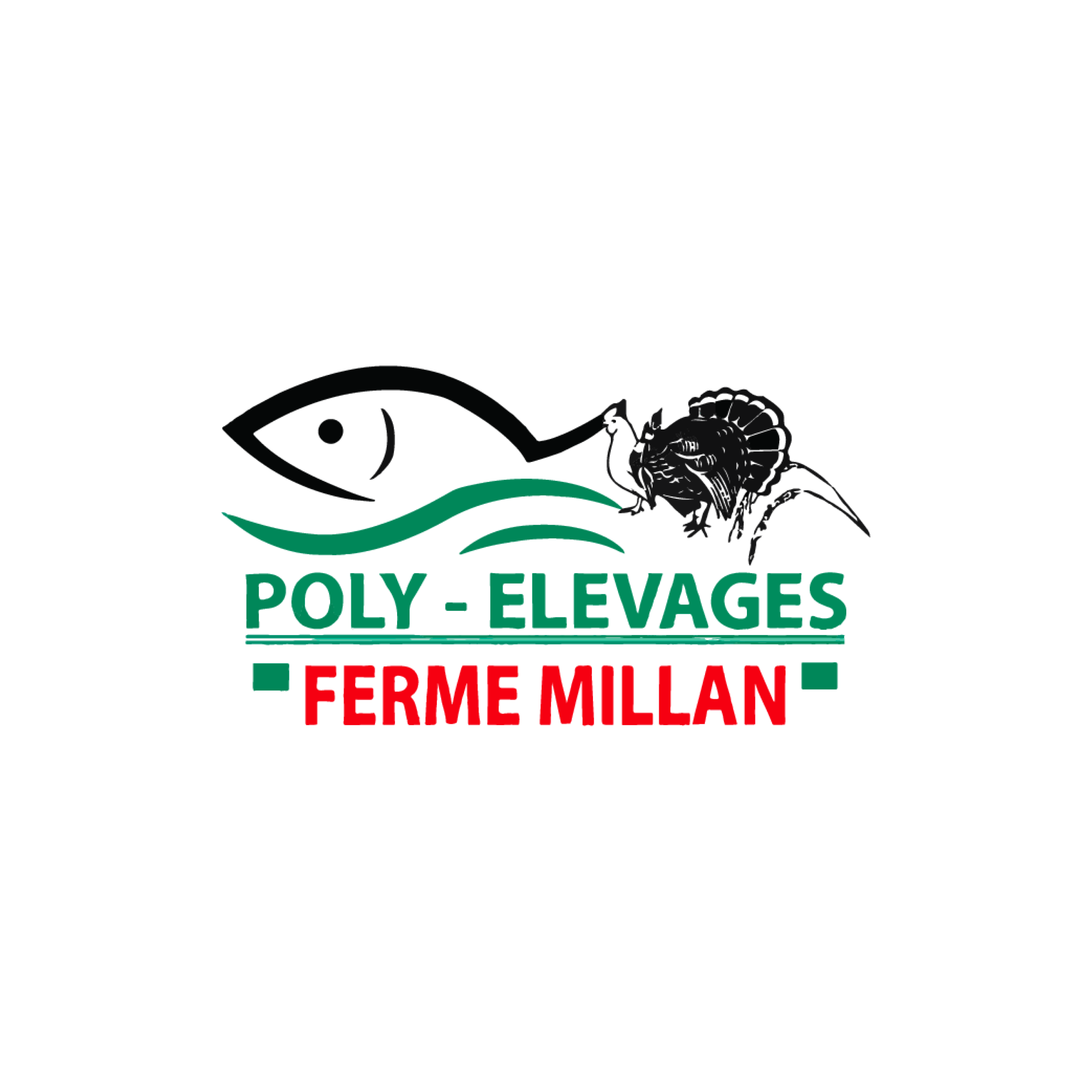 Poly elevages